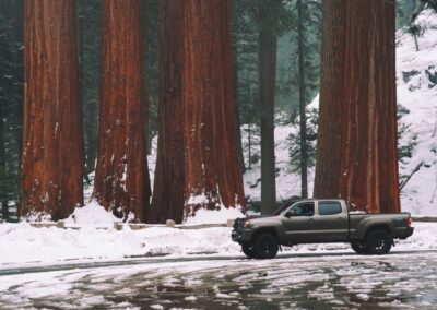 toyota tacoma in sequoia-national-park